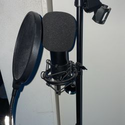 Microphone 