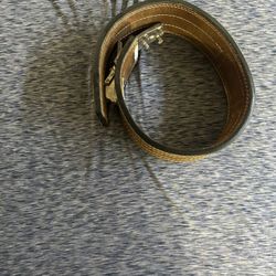 Rad Lifting Belt