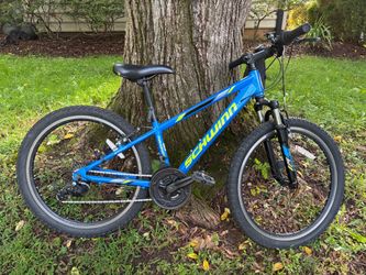 Schwinn Kids Mountain Bike Blue