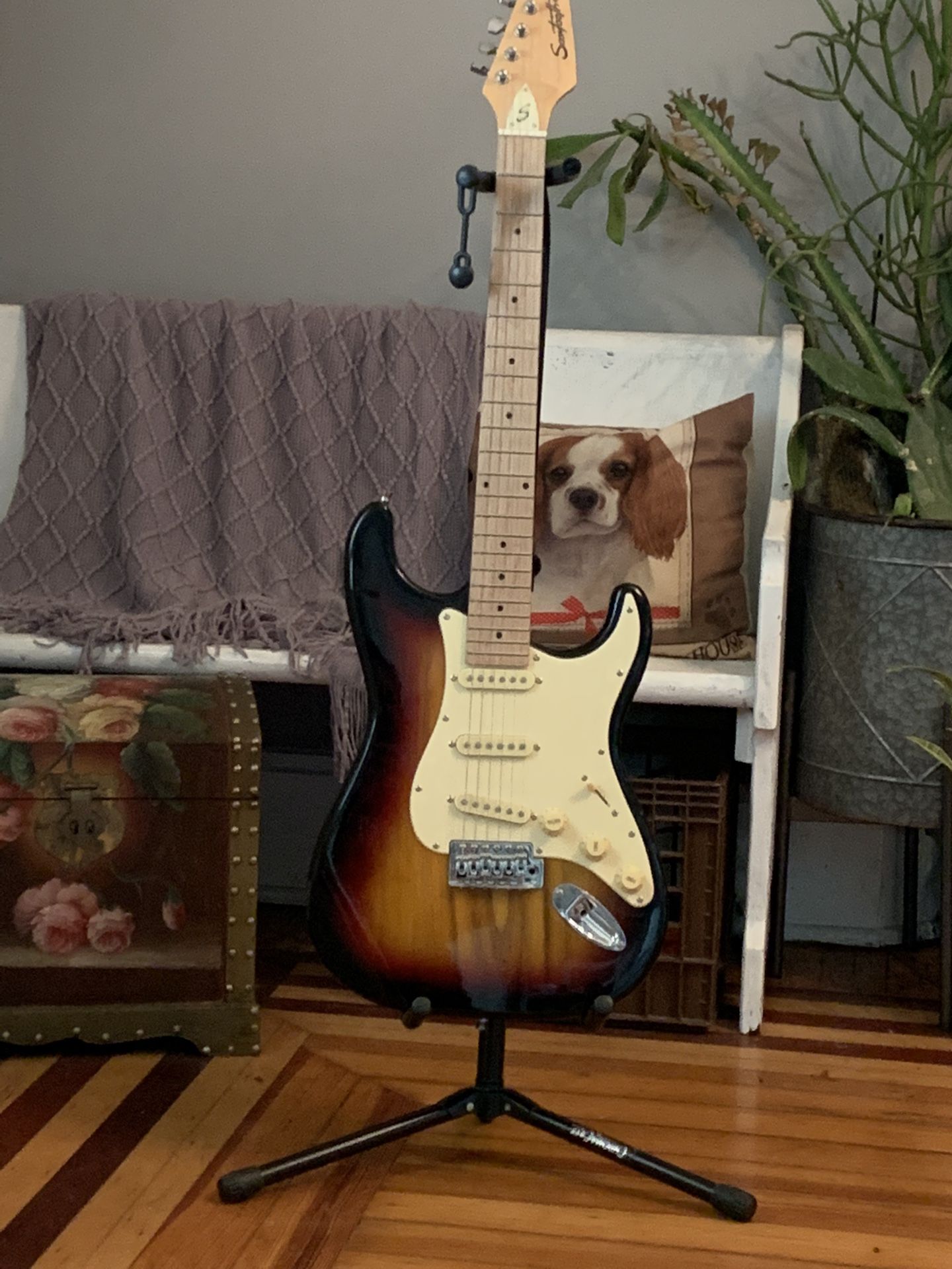 Electric Guitar!! ONLY $135 Obo!
