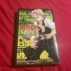 Demon Slayer Vol17