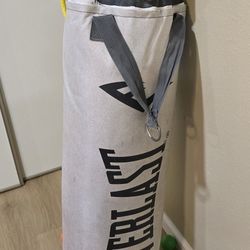Punching Bag