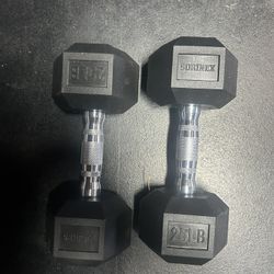 25lb Dumbbells 
