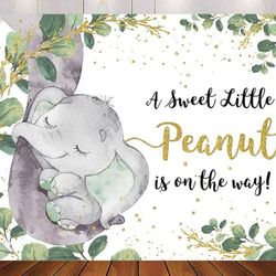 Baby Shower Backdrop 