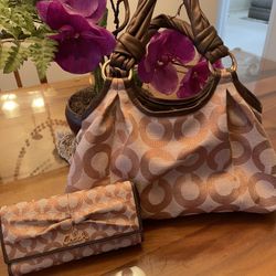 Coach Handbag And Wallet