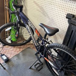 Boys Schwinn Bicycle