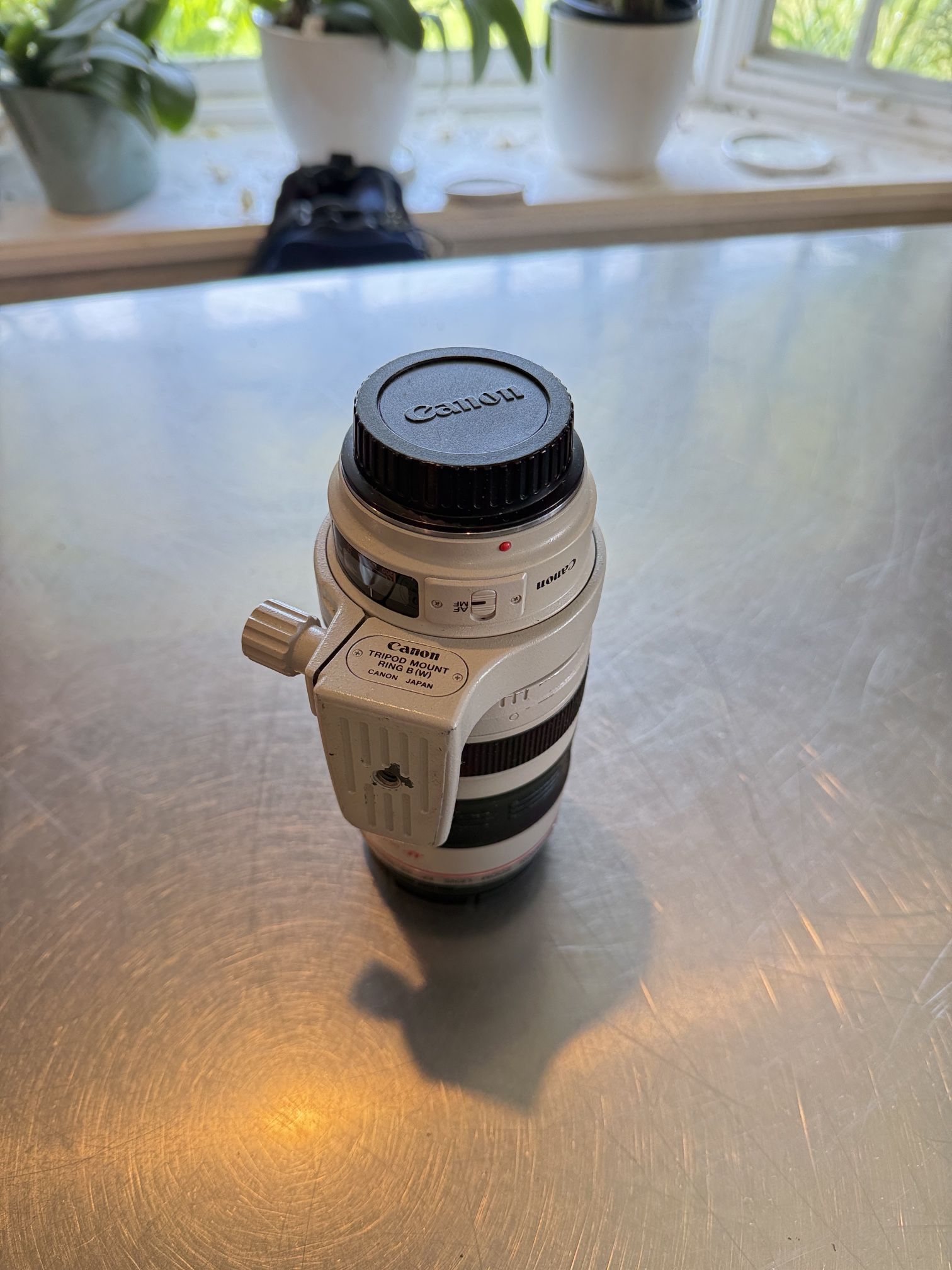 Canon EF 35-350mm F3.5-5.6L Lens