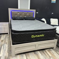 FREE DELIVER SAME DAY 