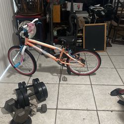 20 Inches Hinches Girls Bike Very Good Condition $30