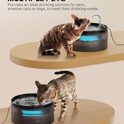 Be Mooney Pet Water Fountain Dog Or Cat