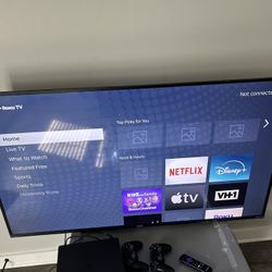 55 In Roku Tv Brand New