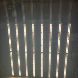 Gavita 1700e LED grow Light 