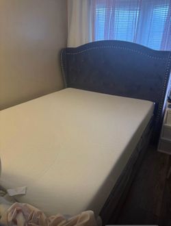 New bed