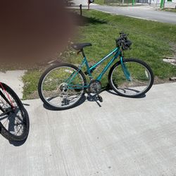 Bicycles For Sale 