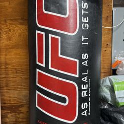 Boxing bag UFC