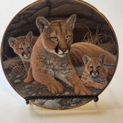 Plato Decorativo, Mountain Lions