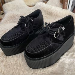 Black Velvet Creepers