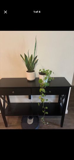 Self Watering Plants