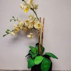 Artificial Real Looking Orchid In A Pot