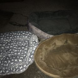 Two Large One Medium Dog Bed Very Nice Everything For $40
