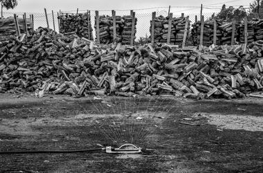 Seasoned Firewood