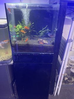20gal Aquarium