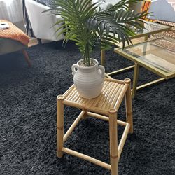 Plant And Stool Decoration