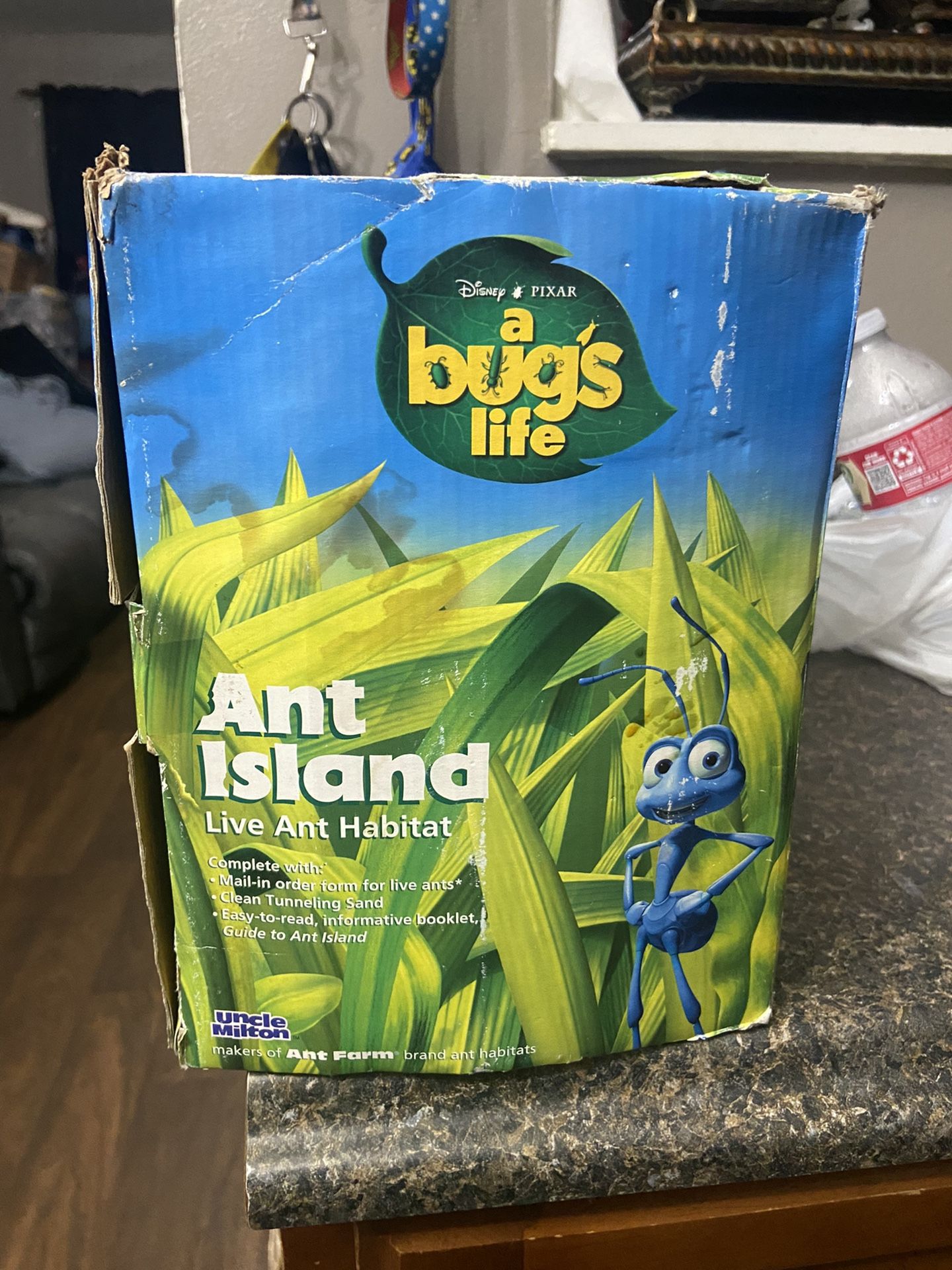 A Bugs Life Ant Habitat (Vintage) for Sale in Tempe, AZ - OfferUp
