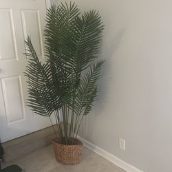 Looks very natural