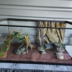 Reptile Aquarium 