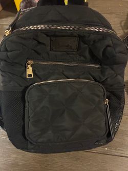 2 Steve Madden bags (brand new)