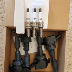 Spark plugs and coil