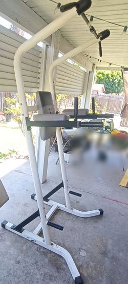 Linex 615 Power Workout Tower Pull-up Bar (no delivery)
