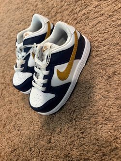 Toddler Nike Dunks Size 7c