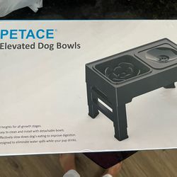 Elevated Dog Bowls