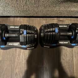 NordicTrack Adjustable Dumbbells Speedweight