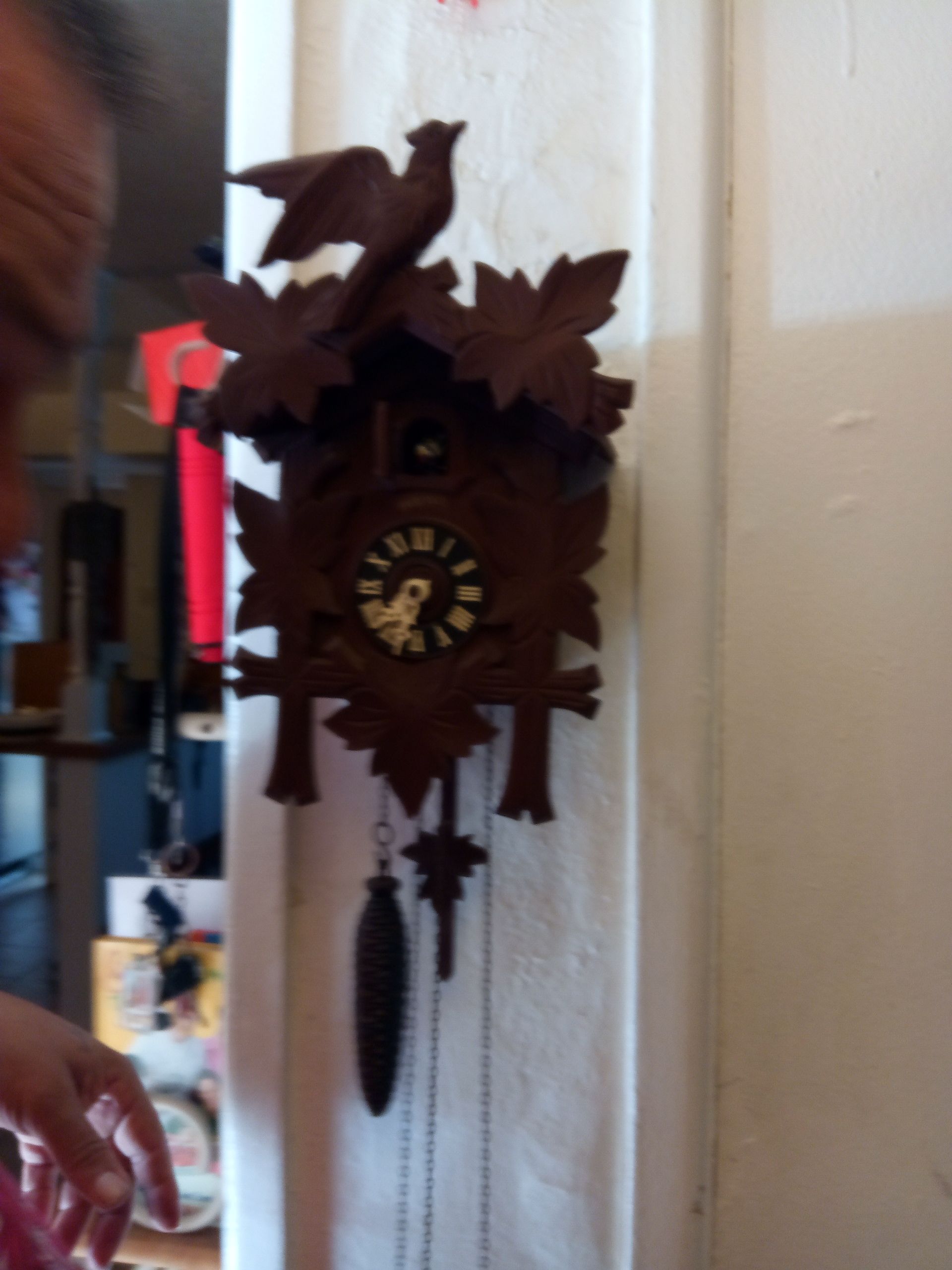 Coocoo Clock