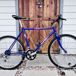 Beautiful Vintage Specialized RockHopper Mountain Bike