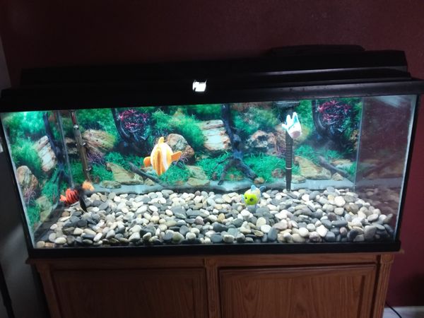 55 Gallon Fish Tank and Stand for Sale in Las Vegas, NV