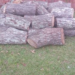 Oak Wood Logs 
