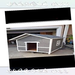 season evening Create the Perfect Dog Home - Fashion and Comfort Joined