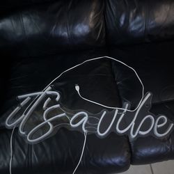 It’s A Vibe Led light