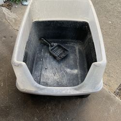 Litter box Cat