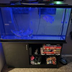 55 Gallon Fish Tank