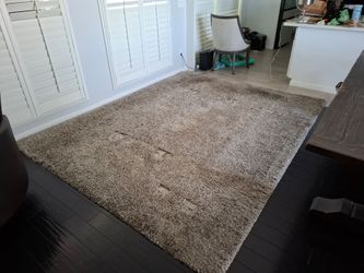 Rug