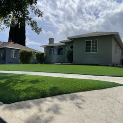 Artificial Turf