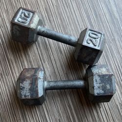 20 Lb Weights
