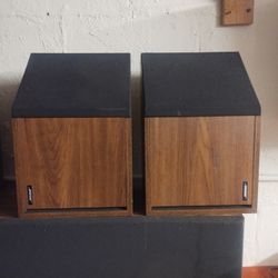 Vintage Bose Speakers 