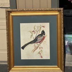 Vintage Framed Rose-Breasted Grosbeak Print, 24x28, Decorative Arts Inc Antique