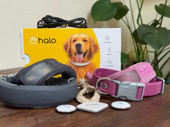 Halo Collar 3 Ultimate Bundle – Beacons, Remote, Extra Strap & Case Included!